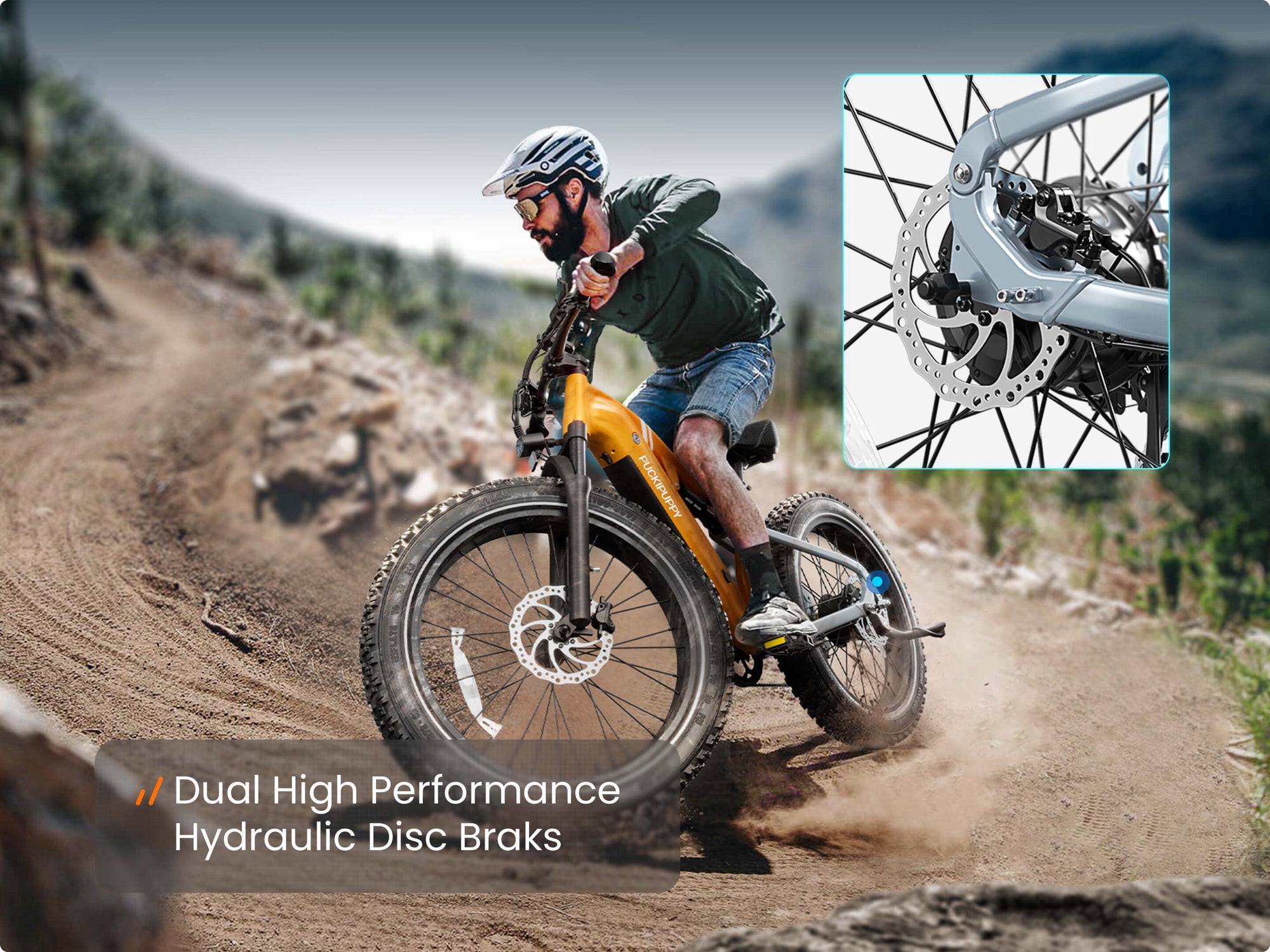 Dual Hydraulic Disc Brakes