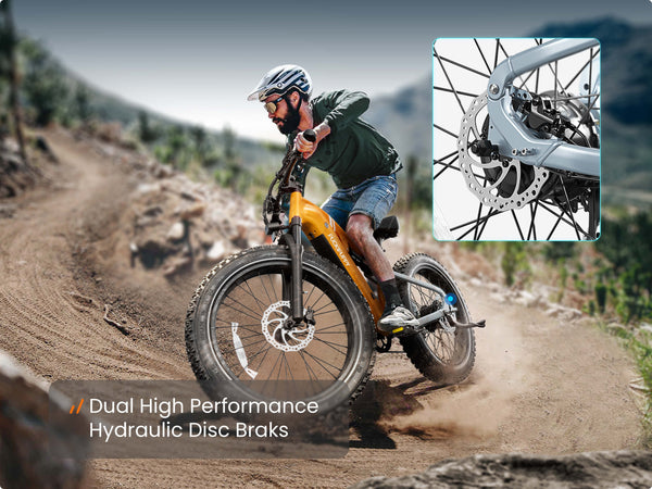 Dual Hydraulic Disc Brakes