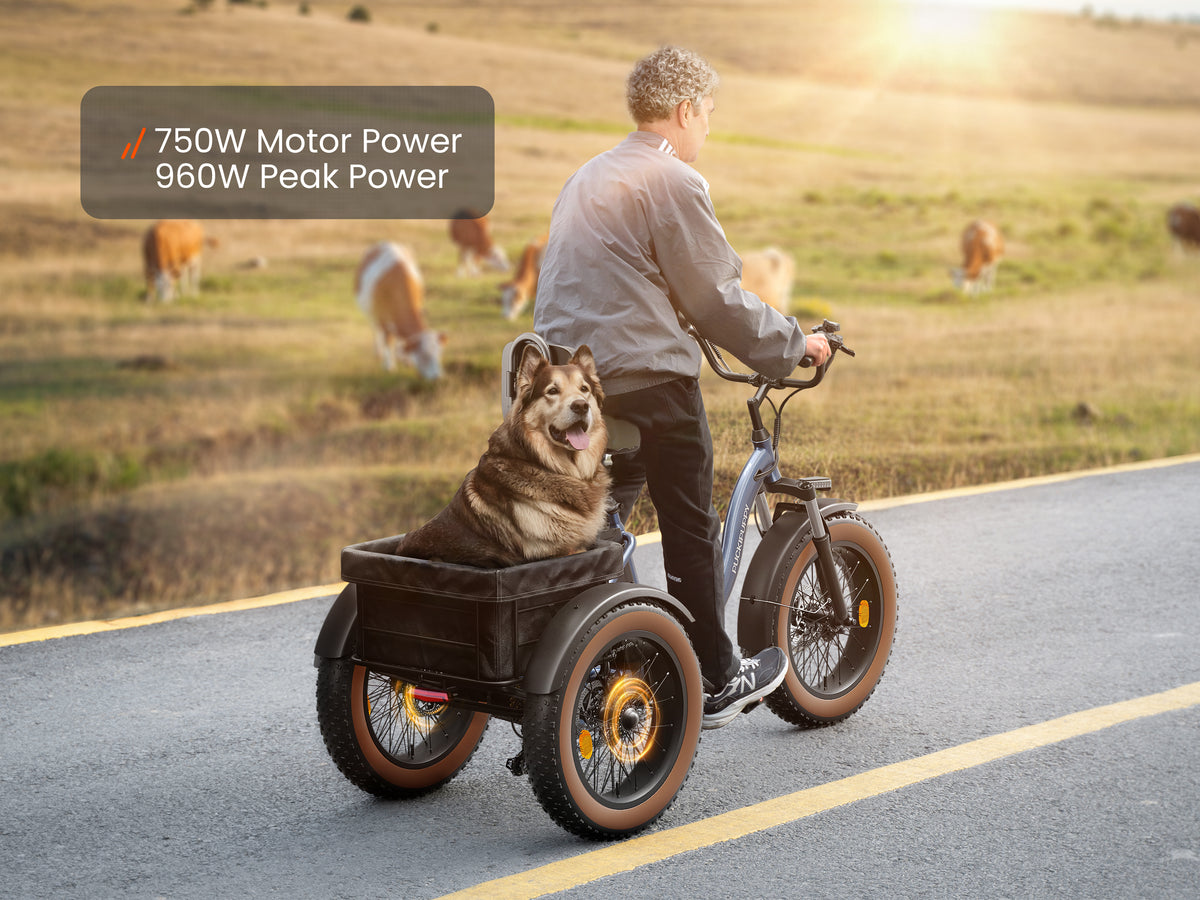 Rider using an Alaskan electric cargo trike with a dog in the rear basket, powered by a 750W motor with 960W peak output.