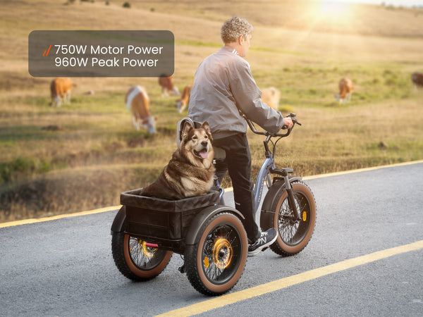Rider using an Alaskan electric cargo trike with a dog in the rear basket, powered by a 750W motor with 960W peak output.