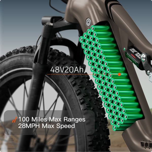 Labrador Pro EbikePlating Gray