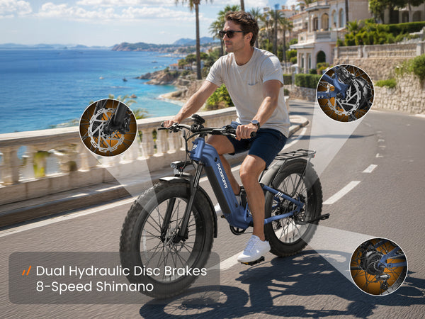 Labrador Pro ST EbikeBlue