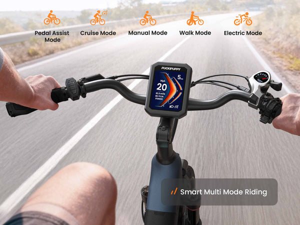 Poodle EbikeSlate Blue