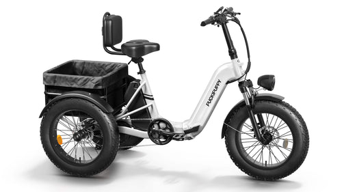 Husky Electric Tricycle
