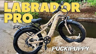 <p><strong>Can the Puckipuppy Labrador Pro Handle ANY Terrain You Throw At It?</strong></p>