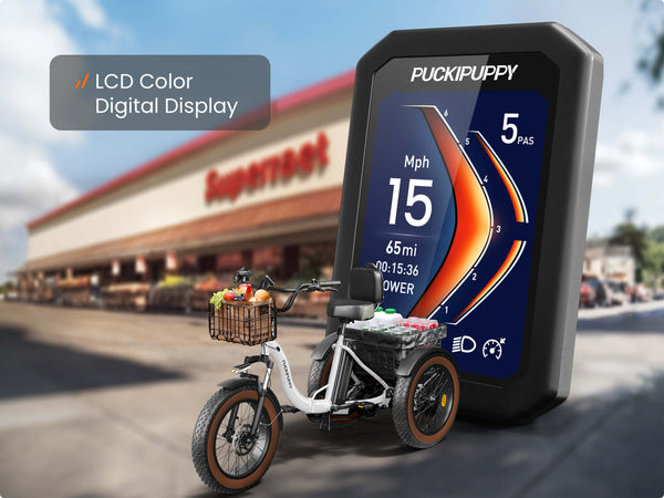 LCD  Digital Display