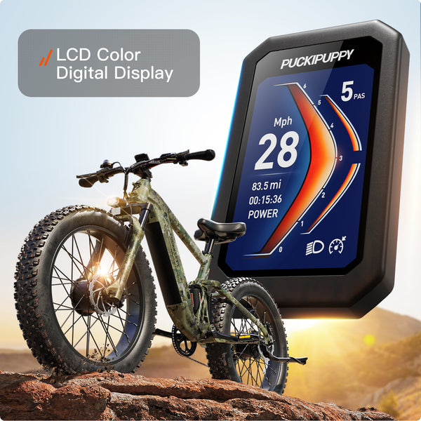 GoldenR EbikeForest Camouflage