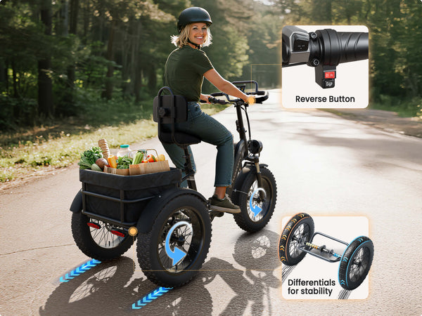 Rottweiler EtrikeBlack