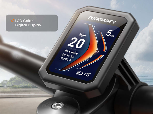 Boxer EbikeMetallic Gray