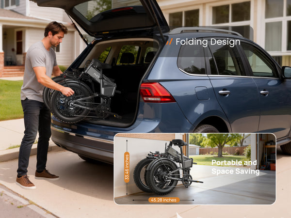 Dachshund Pro EbikeSilver Gray