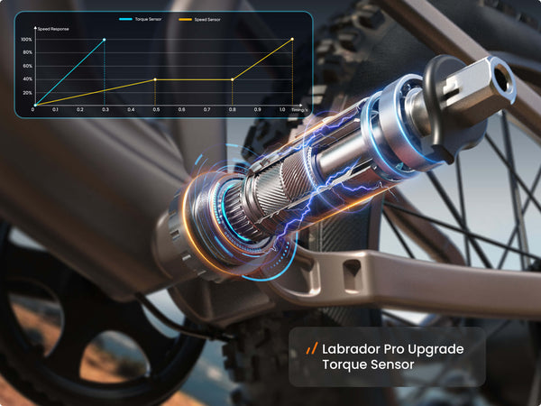 Labrador Pro EbikePlating Gray