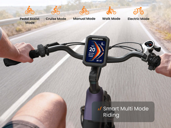 Poodle EbikeDusty Purple