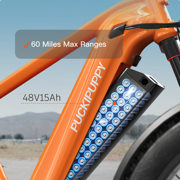 Beagle 2 EbikeOrange