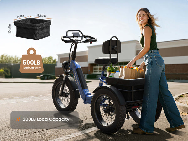 Rottweiler Electric TricycleBlue