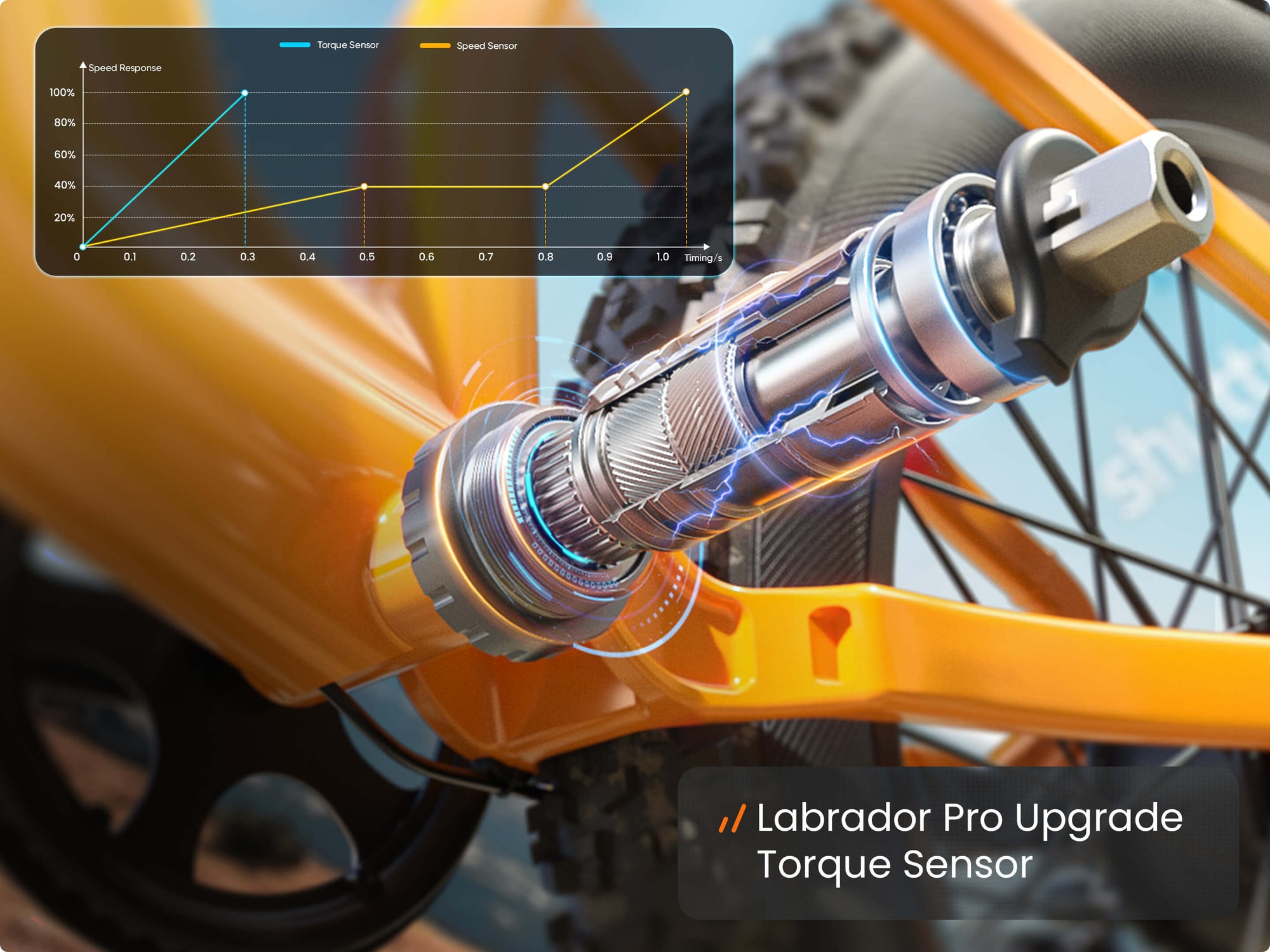 Labrador Pro EbikeOrange / Detachable Display