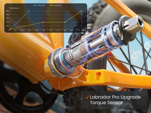 Labrador Pro EbikeOrange / Detachable Display