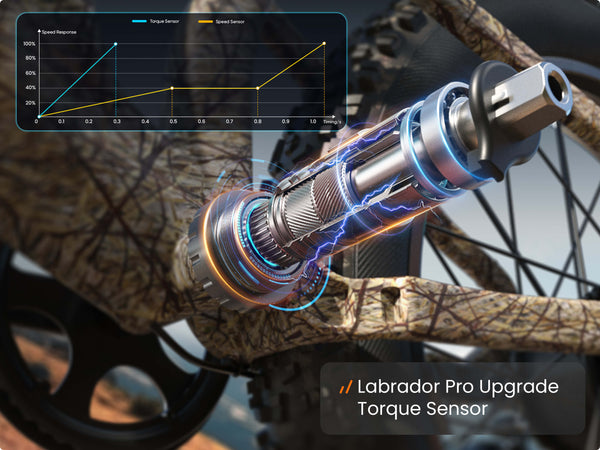 Labrador Pro Upgrade Torque Sensor