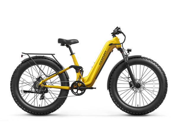 Boxer ST Ebike