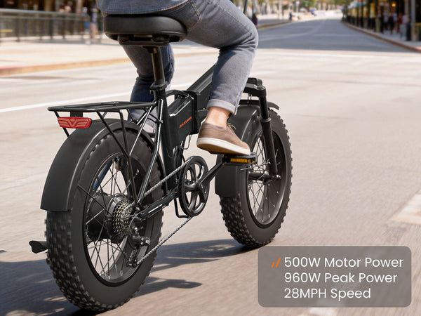 Dachshund EbikeBlack