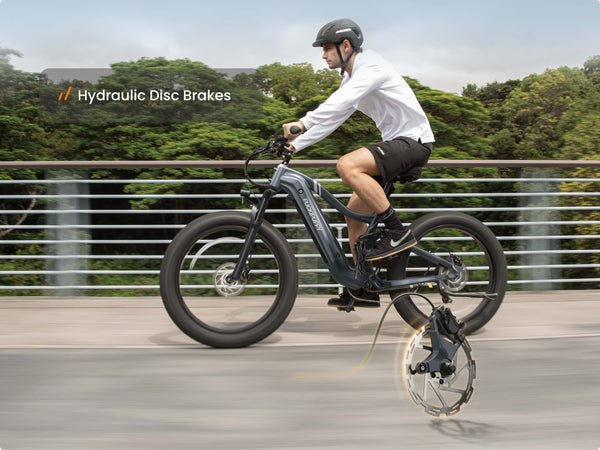 Boxer EbikeMetallic Gray