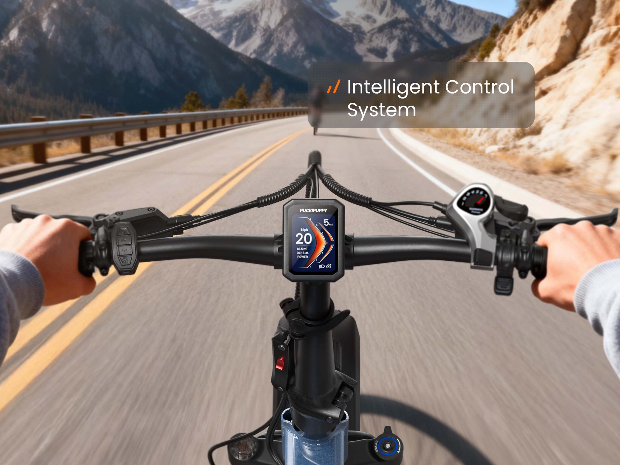 Intelligent Control System