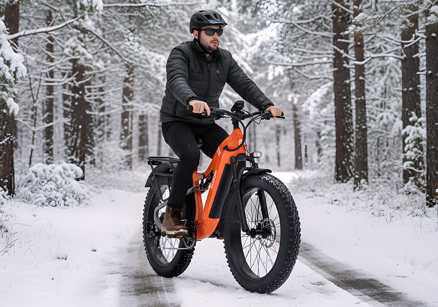 20-inch Studded Tire