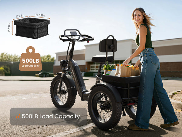 Rottweiler EtrikeBlack