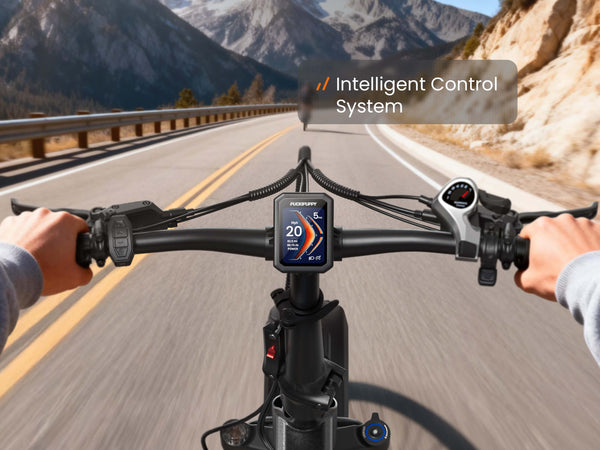 Dachshund EbikeBlack