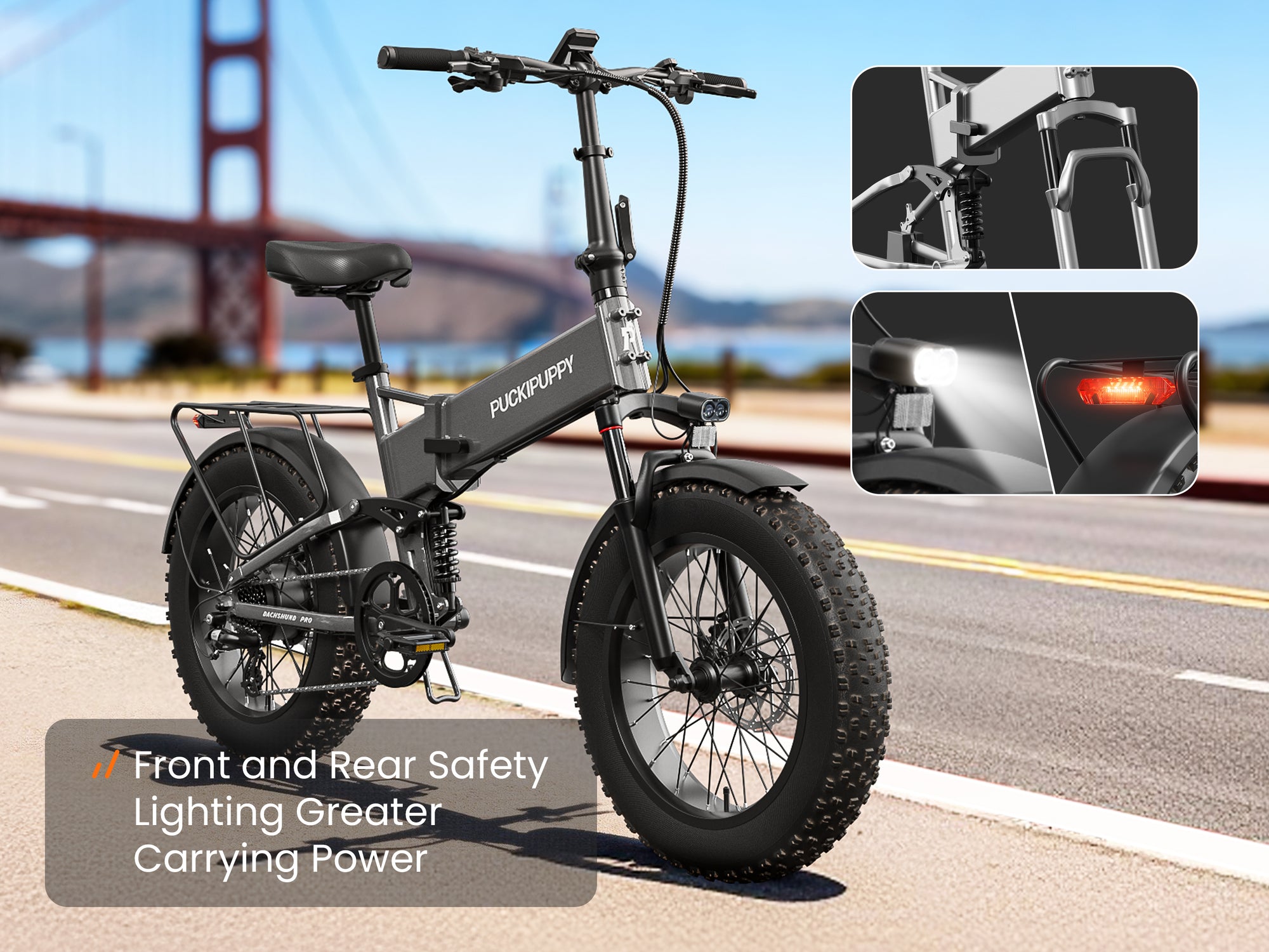 Dachshund Pro EbikeSilver Gray