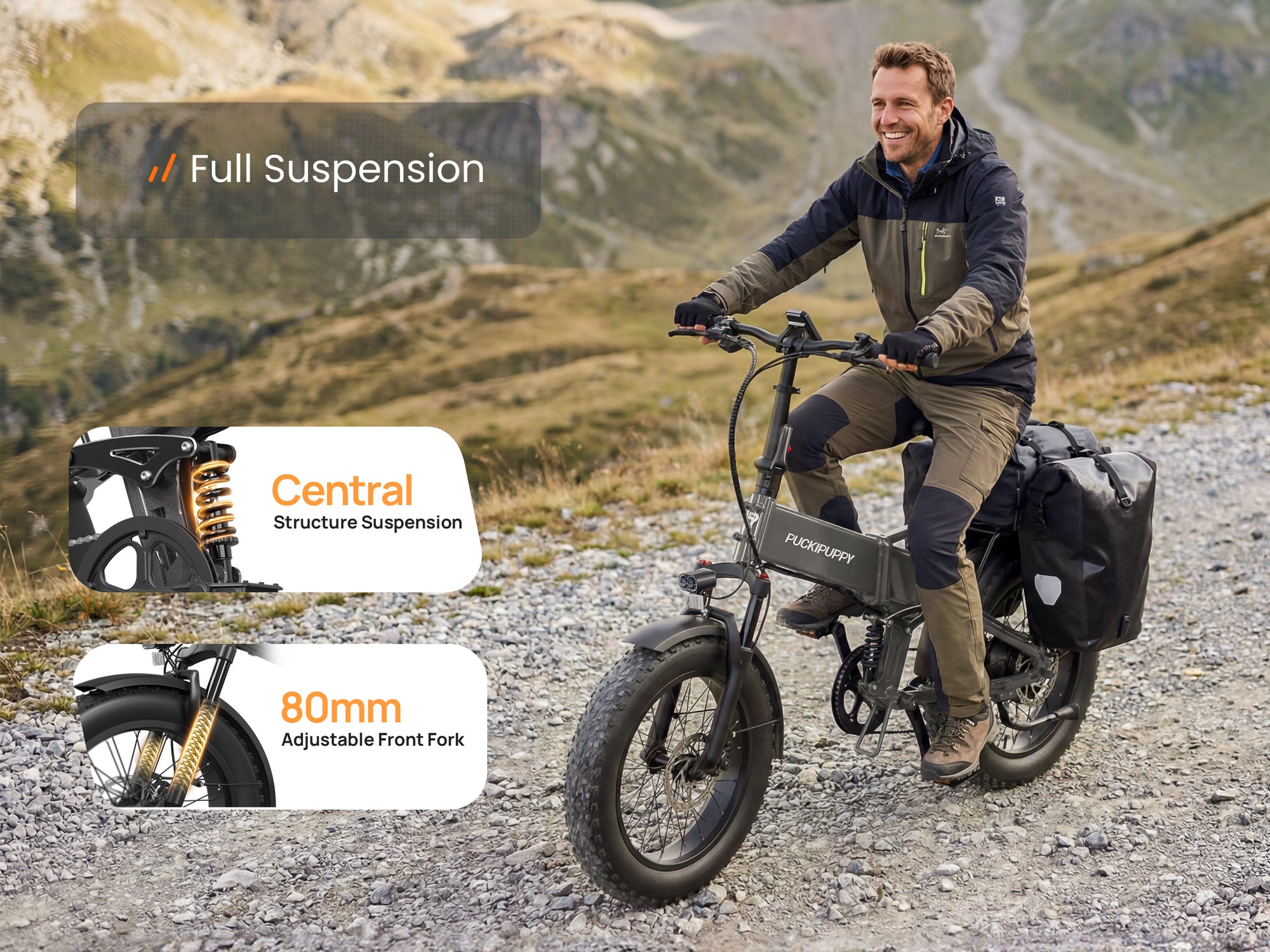 Dachshund Pro EbikeSilver Gray