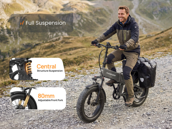 Dachshund Pro EbikeSilver Gray