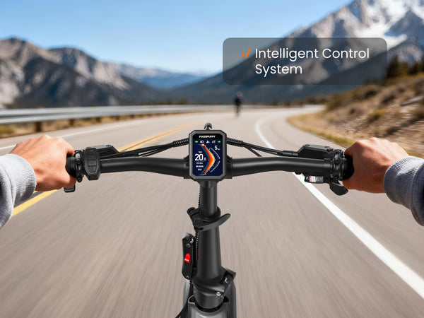 Dachshund Pro EbikeSilver Gray