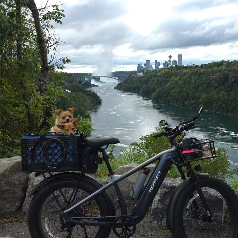 A Stop for the View