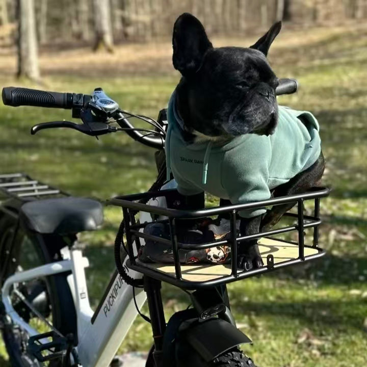 Front Row for the Ride