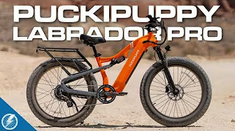 <p><strong>This Budget Fat Tire e-Bike Surprised Us! (Puckipuppy Labrador Pro Review)</strong></p>