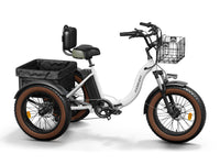 Alaskan Etrike