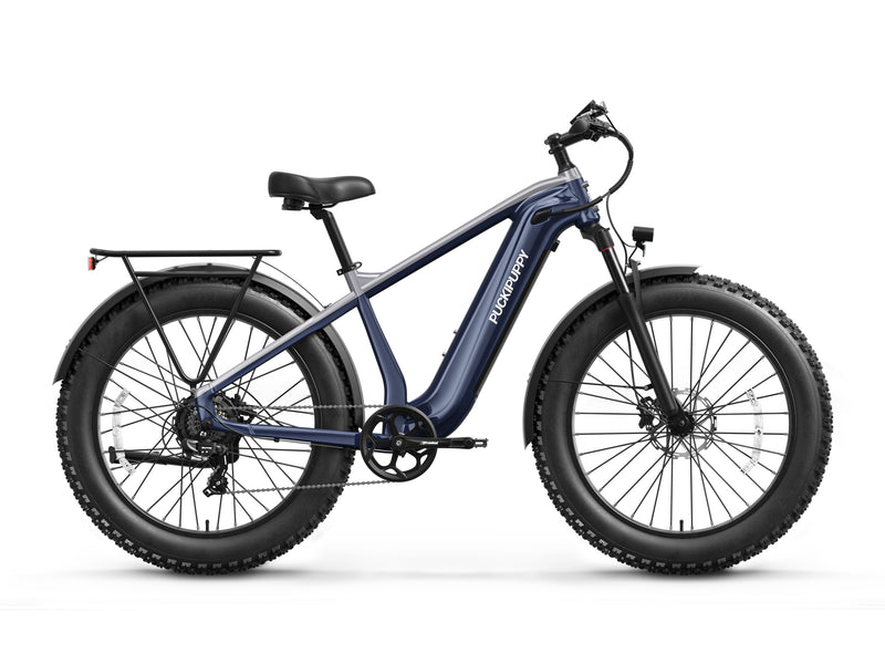 Beagle 2 Ebike
