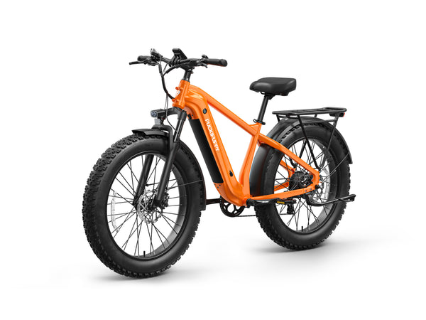 Beagle 2 EbikeOrange