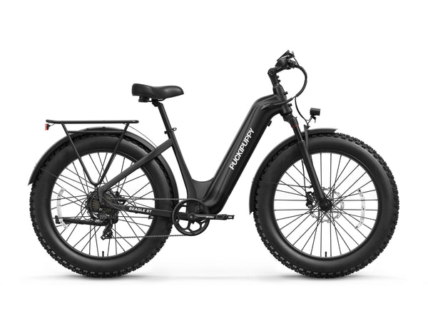 Beagle 2 ST Ebike