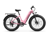 Beagle 2 ST Ebike