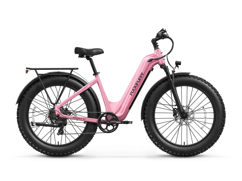Beagle 2 ST Ebike