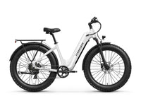 Beagle 2 ST Ebike