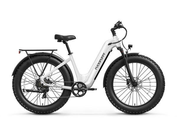 Beagle 2 ST Ebike