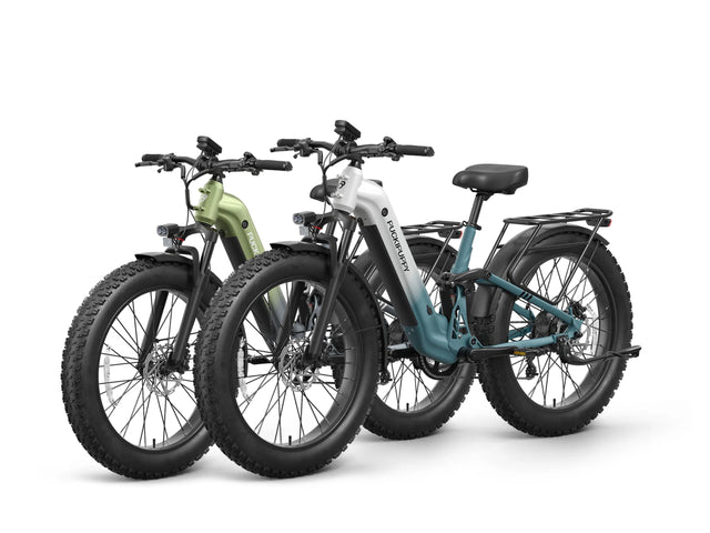 Labrador Pro ST Ebike*2 - Blue-White+Gray-Green
