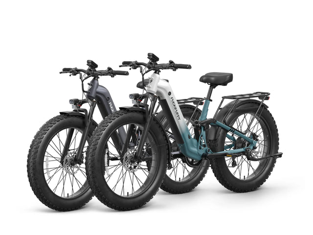 Labrador Pro ST Ebike*2 - Blue-White+Metallic Gray