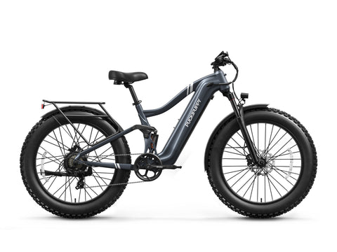 Boxer Ebike - Metallic Gray