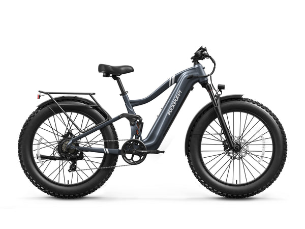 Boxer Ebike