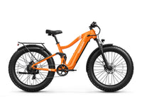 Boxer Ebike