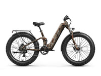 Boxer ST Ebike