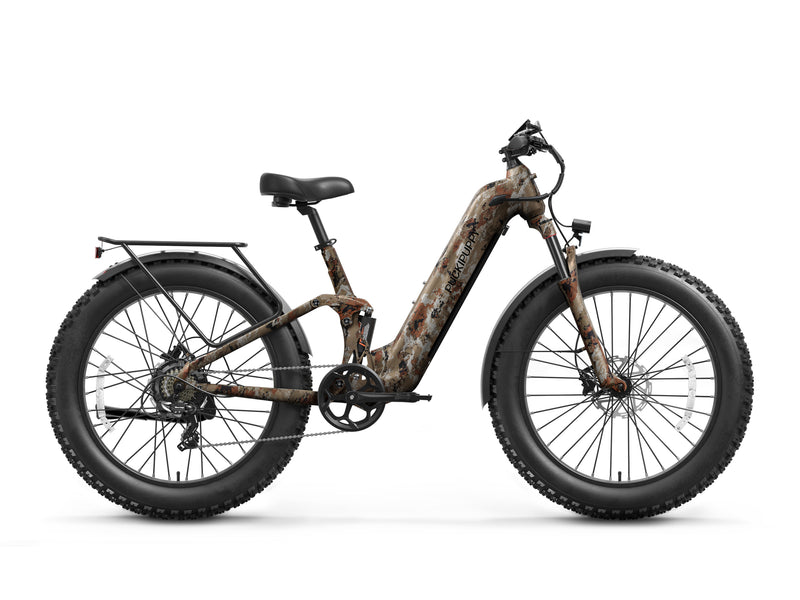 Boxer ST Ebike